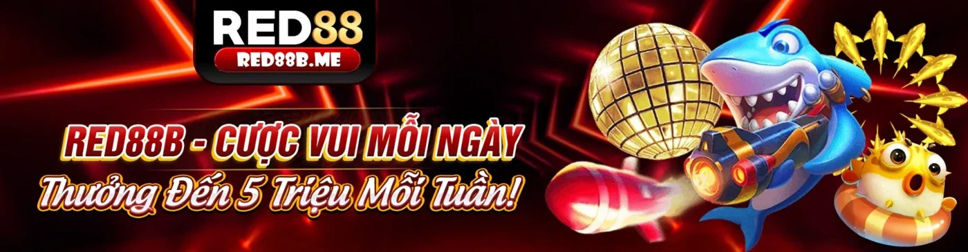 Hình ảnh minh họa cá cược có trách nhiệm trên nền tảng bet8888
