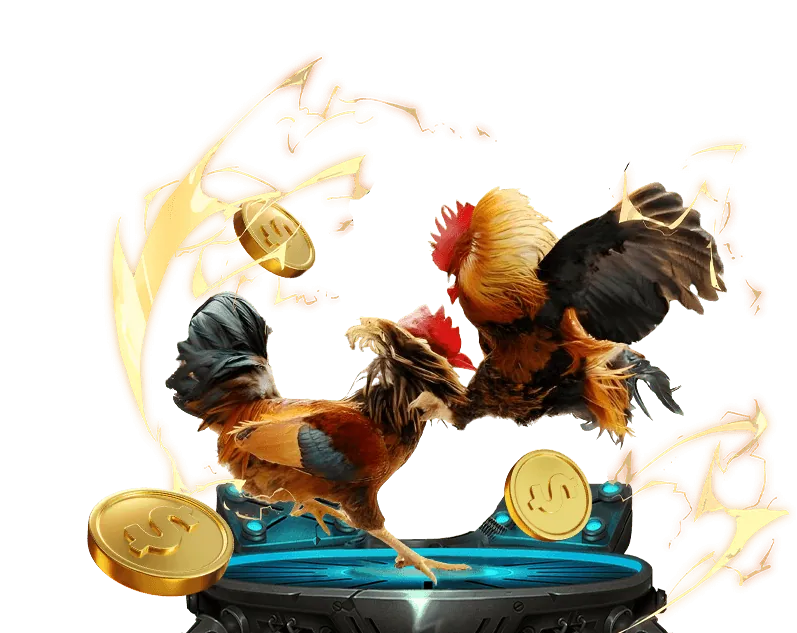 Tổng quan về nền tảng bet8888